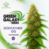 Godfather OG