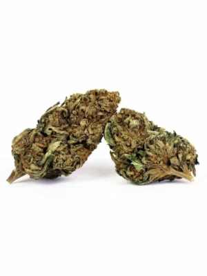 Cherry Bubblegum CBD