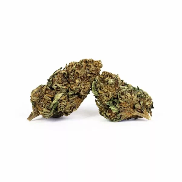 Bubblegumcbd-800x800 Cherry Bubblegum CBD