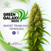 Ghost Train Haze