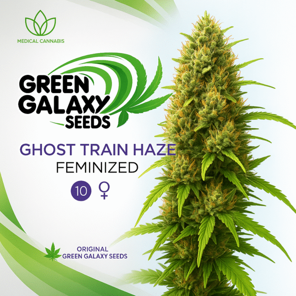 Ghost Train Haze