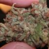 Green Crack