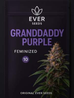 Granddaddy Purple