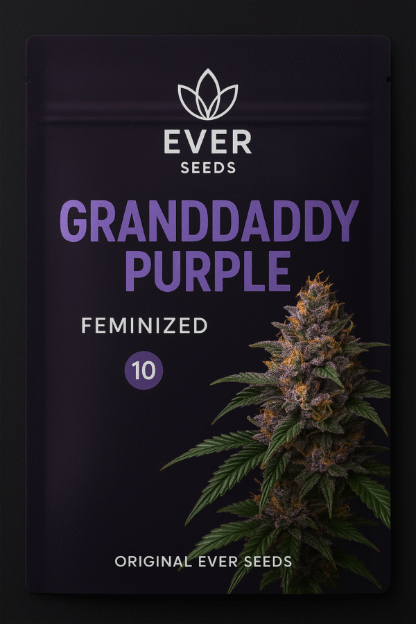 a6a9fb8d-608a-487a-9599-8b041a4ff2f4 Granddaddy Purple