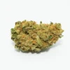 Amnesia Haze